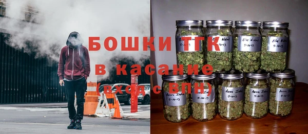 шишки Волосово
