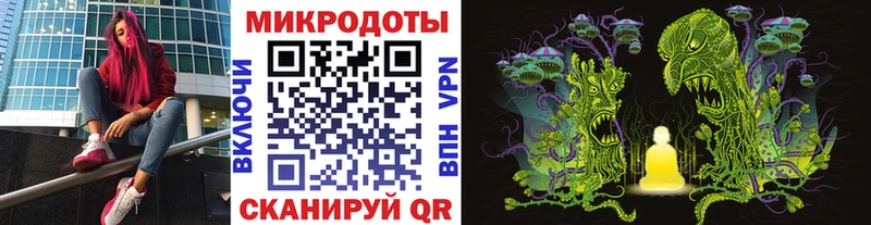 наркота Камбарка Псилоцибиновые грибы Psilocybine cubensis